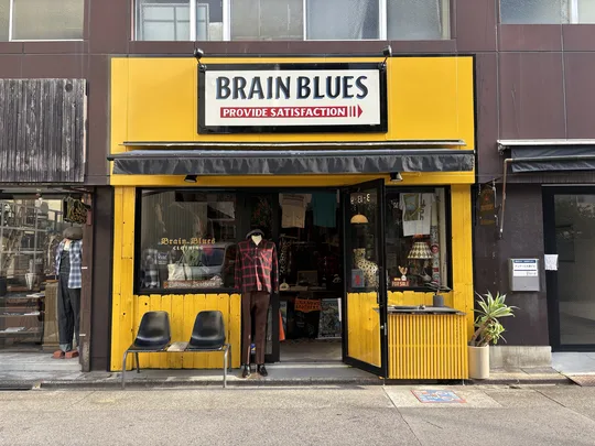 BRAIN BLUES