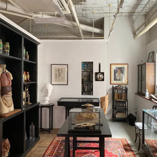 antique Salon